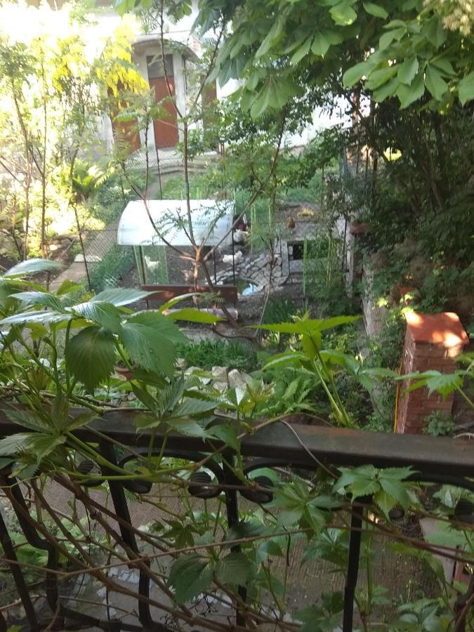 Mangal And Terrace In Center Apartment Lviv Dış mekan fotoğraf