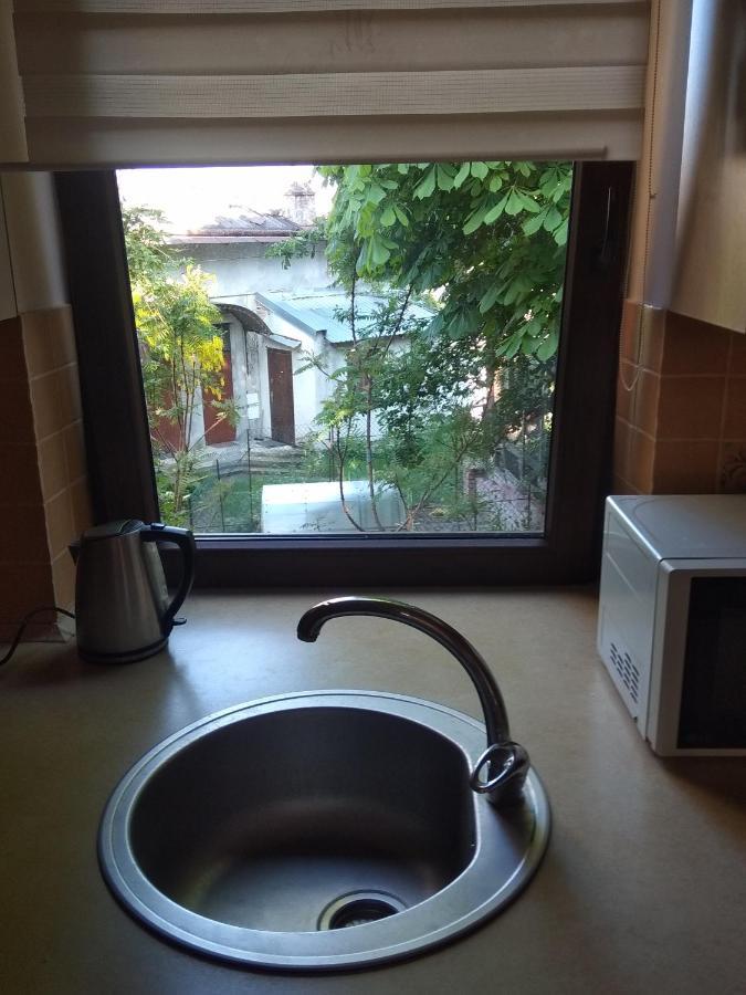 Mangal And Terrace In Center Apartment Lviv Dış mekan fotoğraf